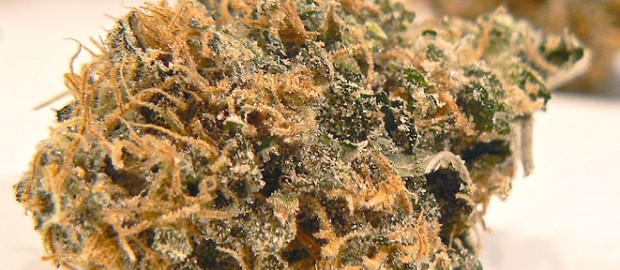 Open a Marijuana Dispensary in Tacoma