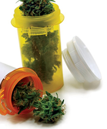 How to start a Marijuana Dispensary