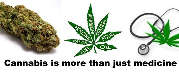 Cannabis Business Education