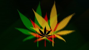  Washington seminars for marijuana