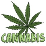 Cannabis business attorney1