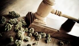 Dispensary business law firm