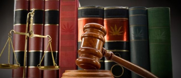 Marijuana law firm